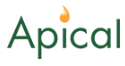 Apical